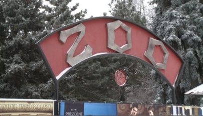 Первый приплод 2014 года в столичном зоопарке