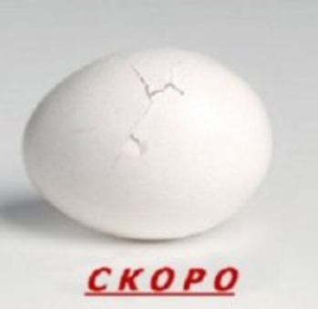 Ответ в 14:00