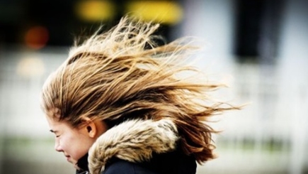 Объявлен желтый код опасности  в связи с сильным ветром