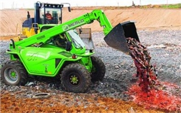 СНГ и молдавское вино: мифы, страхи и реальность