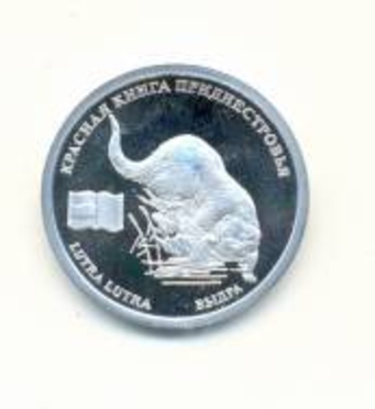 В обращение введена новая памятная монета из серии «Красная книга Приднестровья»