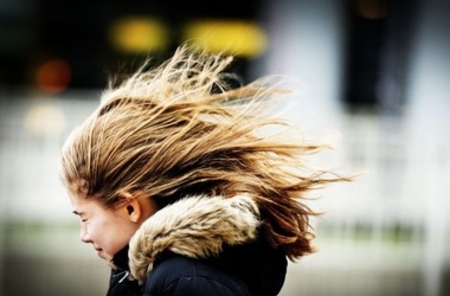 Объявлен желтый код опасности  в связи с сильным ветром