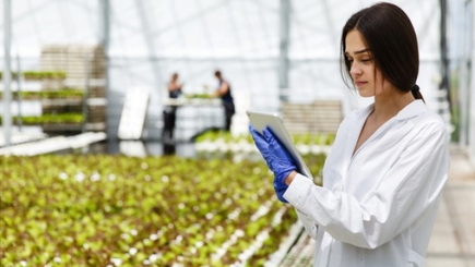 Программа PARE 1+1: 1246 предприятий получили финансирование