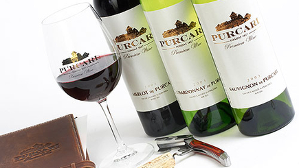 Имидж молдавских вин. Поскользнулись на пробке