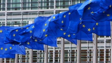 ЕС: Украине нужен вывод Совета Европы по закону об образовании
