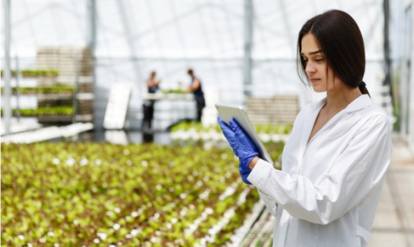 Программа PARE 1+1: 1246 предприятий получили финансирование