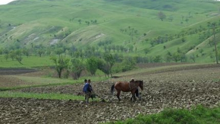 ЕС поддержит сельскохозяйственную отрасль Молдовы