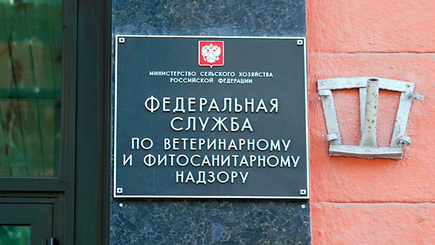 Россия может снять ограничения на импорт молдавских фруктов и мяса