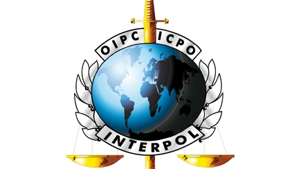 Генсек Интерпола – о преступных группировках и РМ