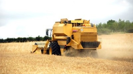 Производство сельхозпродукции увеличилось на 38,3%