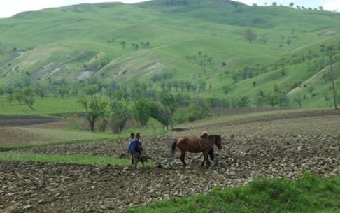 ЕС поддержит сельскохозяйственную отрасль Молдовы