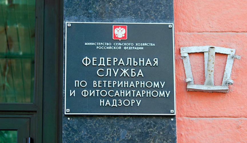 Россия может снять ограничения на импорт молдавских фруктов и мяса