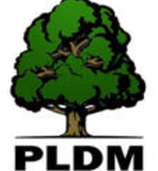 ЛДПМ предлагает ввести понятия политической и юридической ответственности для министров