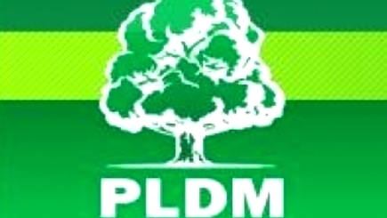 Либерал-демократы солидарны с журналистами