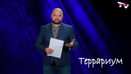 Террариум – Скандал ТВ, PAS – тоже социалисты, выборы в Гагаузии, группа Петренко