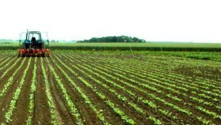 Молдавский аграрный сектор реанимируется