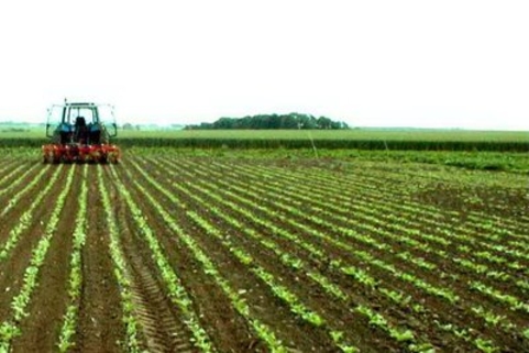 Молдавский аграрный сектор реанимируется