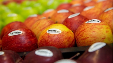 Война в Украине сильно ударила по аграриям нашей страны