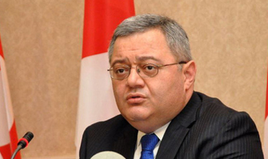 Молдову посетит председатель Парламента Грузии