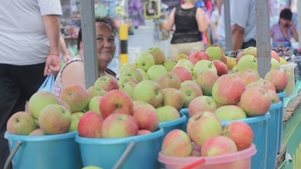 Россельхознадзор вернул в Молдову 19 тонн яблок