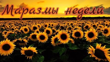 Маразмы недели, или Никто русских в Молдове не притесняет.