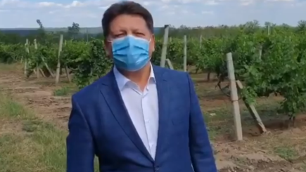 Ренато Усатый: Штефана Гацкана избили и увезли из Республики Молдова