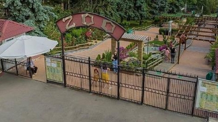 Как украсть... черепаху
