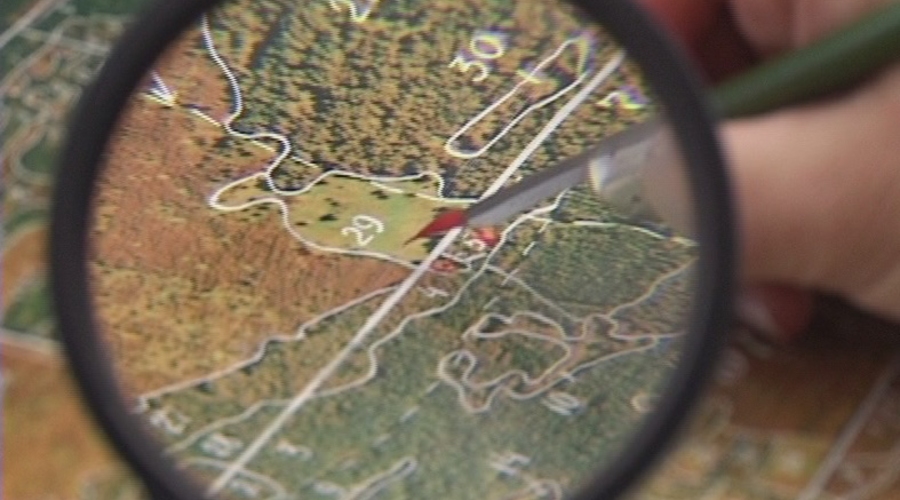 Профессионал нам друг, но интересы партии дороже