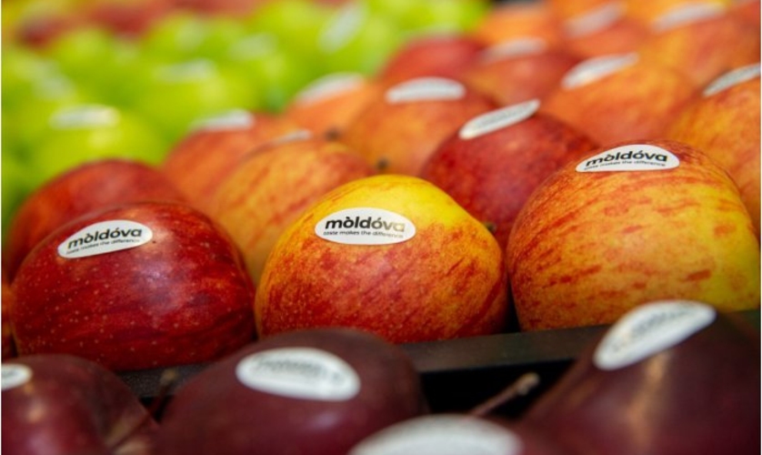 Война в Украине сильно ударила по аграриям нашей страны