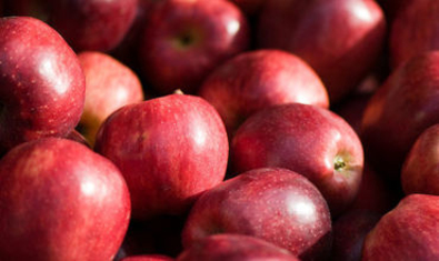 Россельхознадзор не пропустил 19 тонн молдавских яблок и 16 тонн мяса