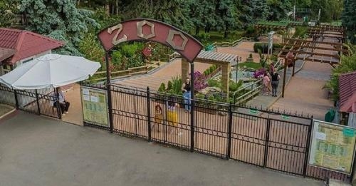 Как украсть... черепаху