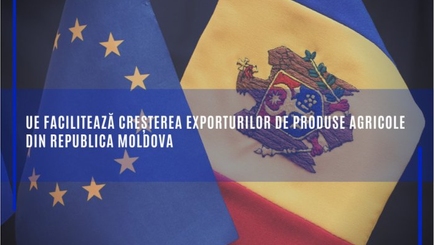 Совет Европы увеличил экспортные квоты на молдавские товары