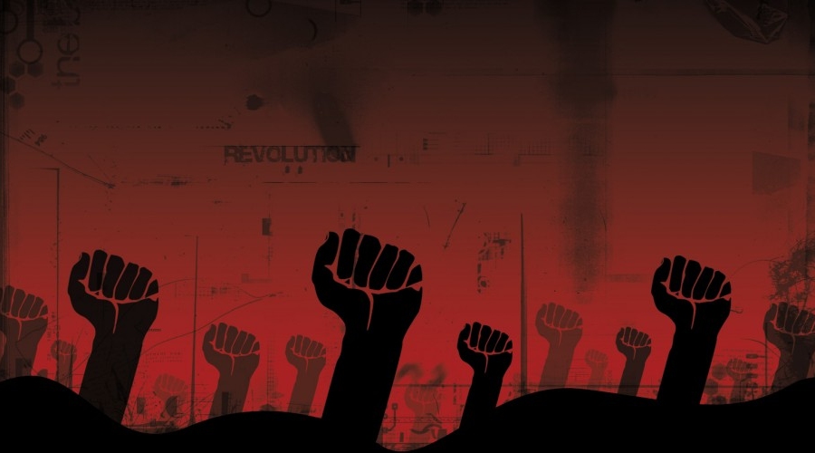 Гнездо буревестников! Или кто подталкивает страну к революции.