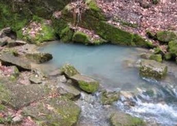 Инвестиционный проект. Минеральные воды Молдовы – будущее страны