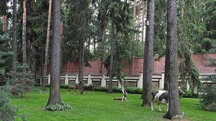 Если верить Кобзону - Янукович его сосед