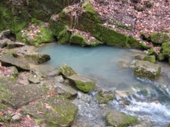 Инвестиционный проект. Минеральные воды Молдовы – будущее страны