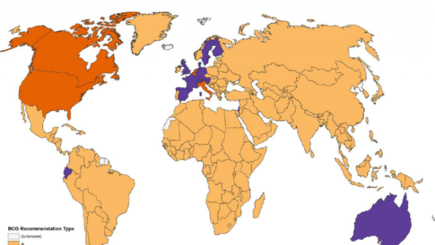 Вакцинация БЦЖ снижает смертность от коронавируса