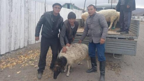 Отдал сына - получи барана: в России придумали новый стимул для мобилизации