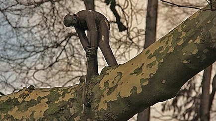 Плахотнюка и Гимпу  рубят…