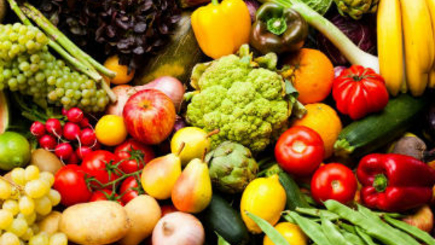 Молдова и Россия обсудят ситуацию с эмбарго