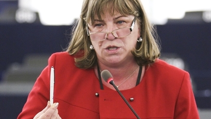 Норика Николай: Некоторые политики преследуют интересы партии