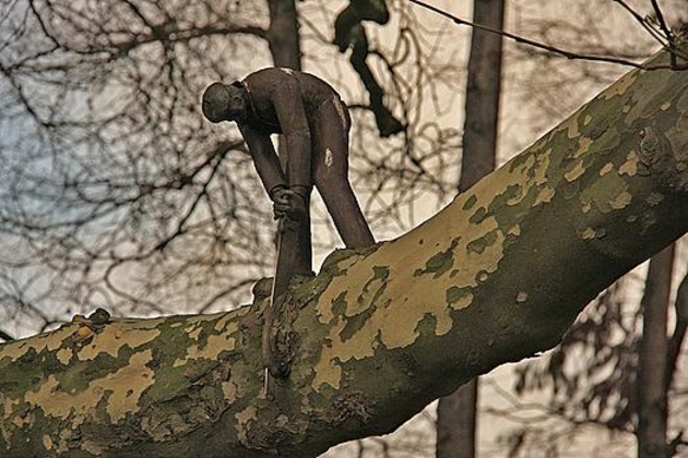 Плахотнюка и Гимпу  рубят…