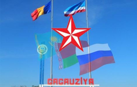 Социалисты поддерживают Референдум в Гагаузии и организуют митинг в Комрате