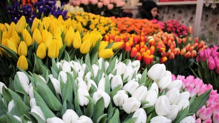 Проверки в цветочных магазинах: продавцов оштрафовали на миллион леев