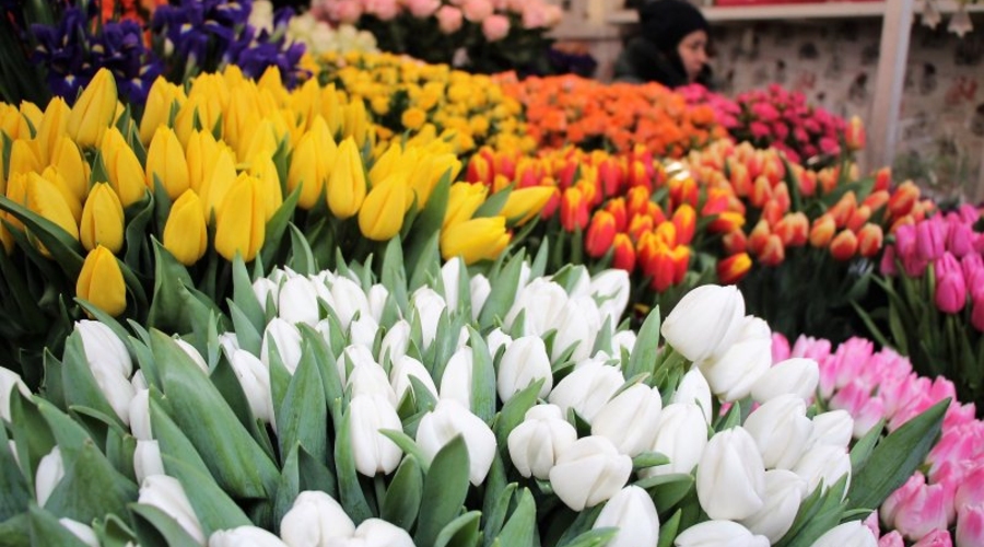 Проверки в цветочных магазинах: продавцов оштрафовали на миллион леев