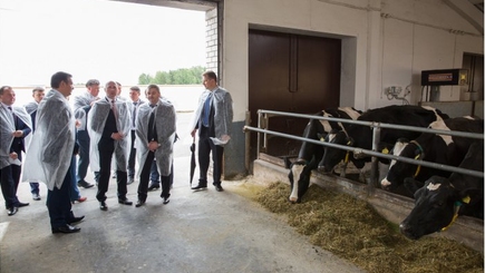 Образцовая ферма по производству молока будет создана в Анений Ной, в партнерстве с Беларусью