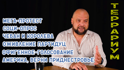 Террариум – 17 сентября 2022