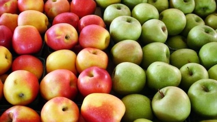 Румыния ищет хранилища для фруктов из Молдовы