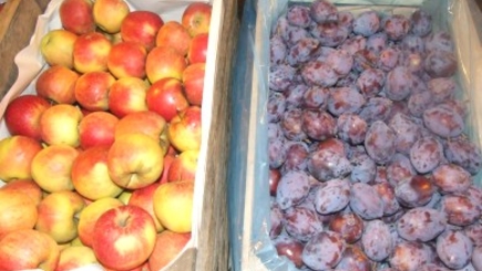 Производители яблок и слив получили компенсации