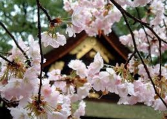 Синоптики обещают  +23 градусов на Пасху